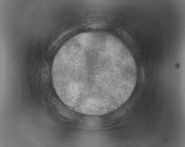 X0000115261158200912111134