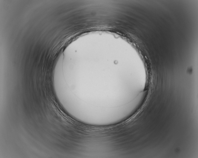 X0000115261161200912111133