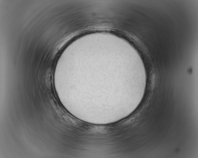 X0000115261162200912111133