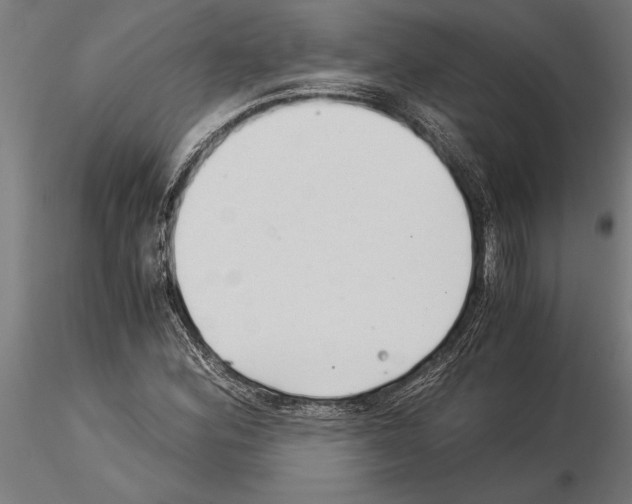 X0000115261164200912111133