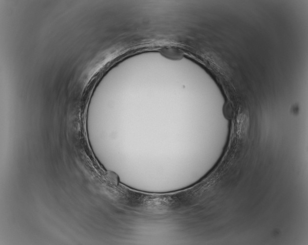 X0000115261165200912111133