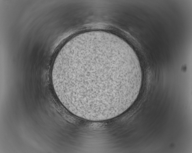 X0000115261166200912111133