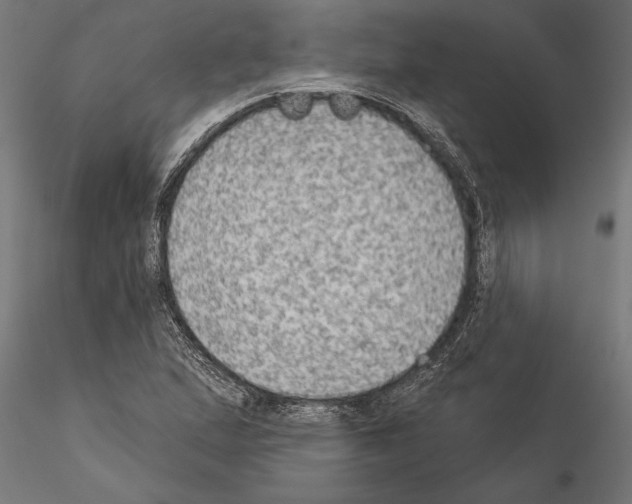 X0000115261167200912111133