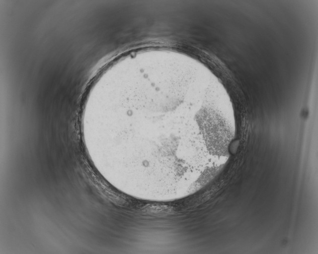 X0000115261168200912111133