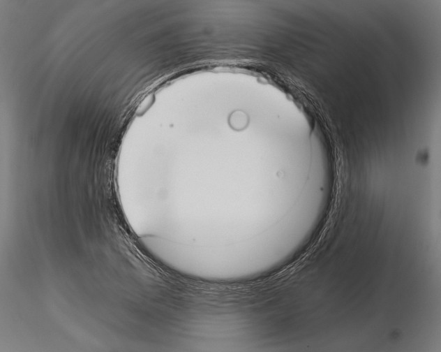 X0000115261169200912111133