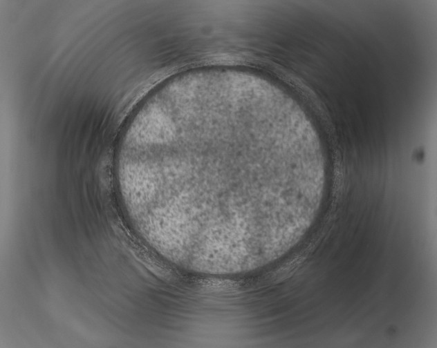 X0000115261170200912111133