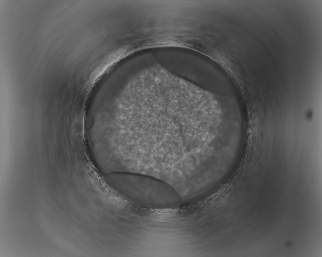 X0000115261173200912111133