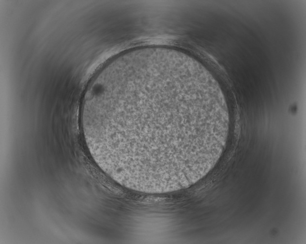 X0000115261174200912111133