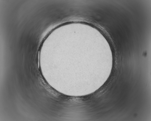 X0000115261175200912111133