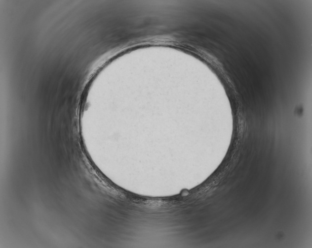 X0000115261176200912111133