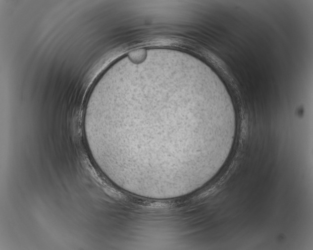 X0000115261178200912111133