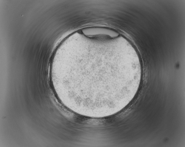 X0000115261179200912111133