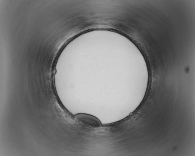 X0000115261181200912111133