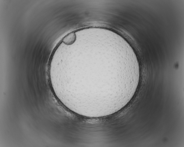 X0000115261182200912111133