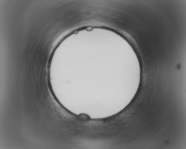 X0000115261183200912111133