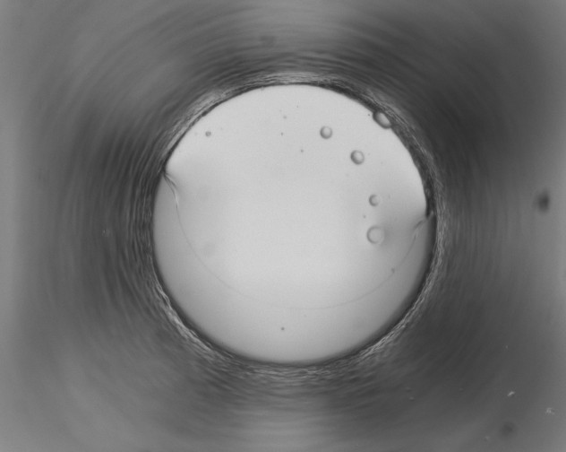 X0000115261185200912111133