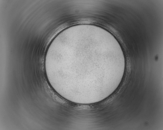 X0000115261186200912111133