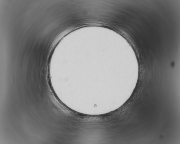 X0000115261187200912111133