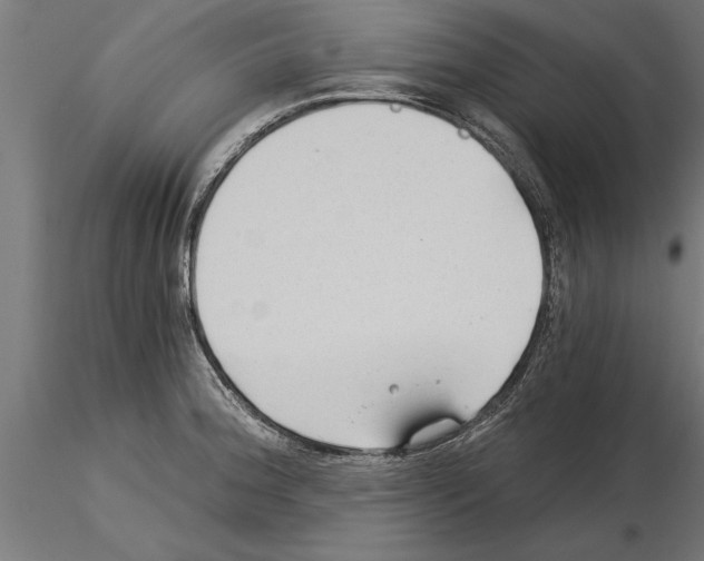 X0000115261188200912111133