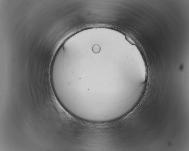 X0000115261189200912111133