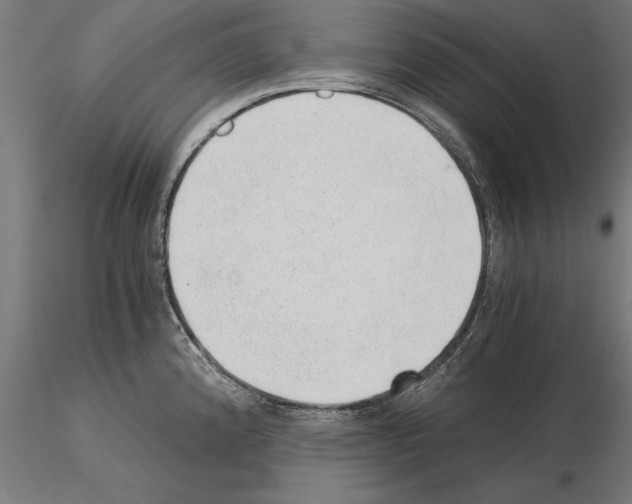 X0000115261192200912111133