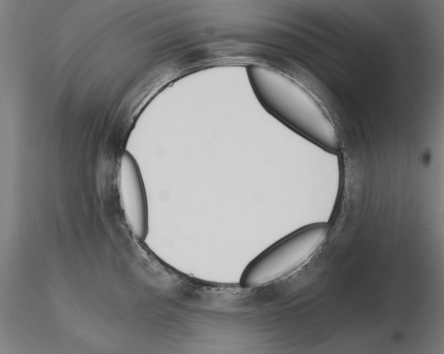 X0000115261193200912111133