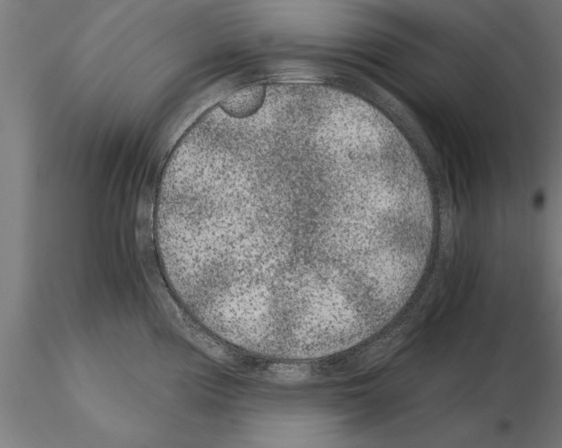 X0000115261194200912111133