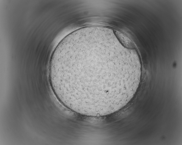 X0000115261195200912111133