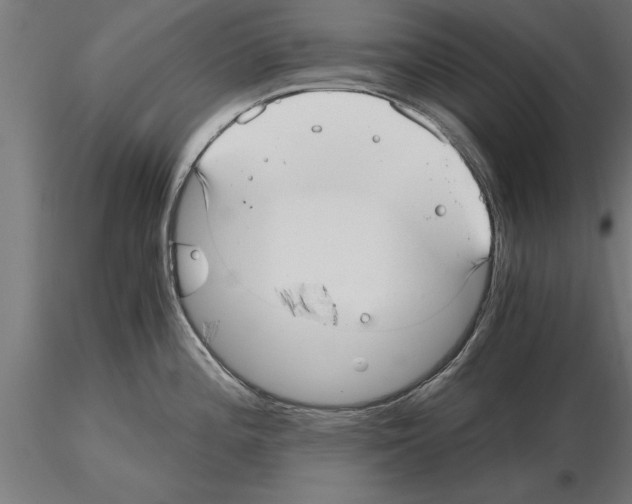 X0000115261196200912111133