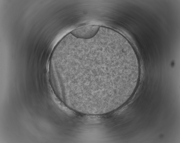 X0000115261198200912111133