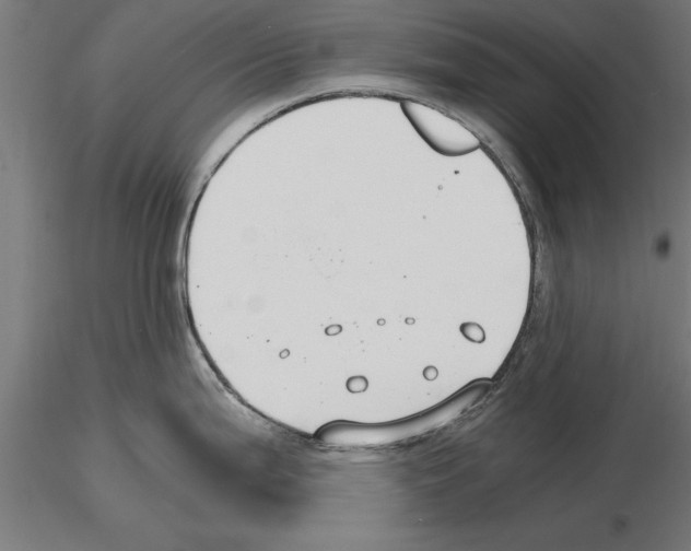 X0000115261199200912111133