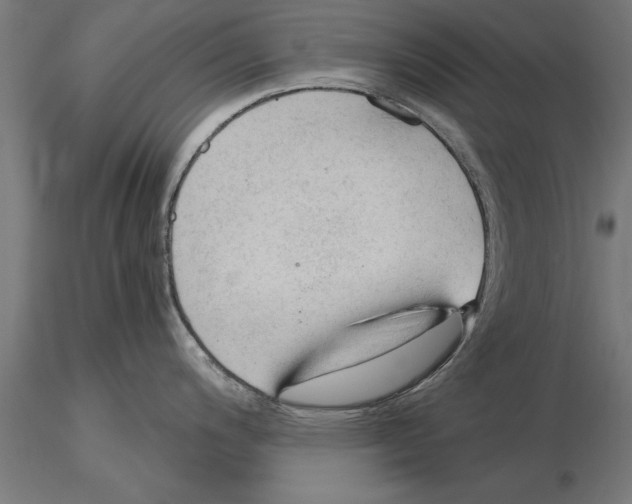 X0000115261200200912111133