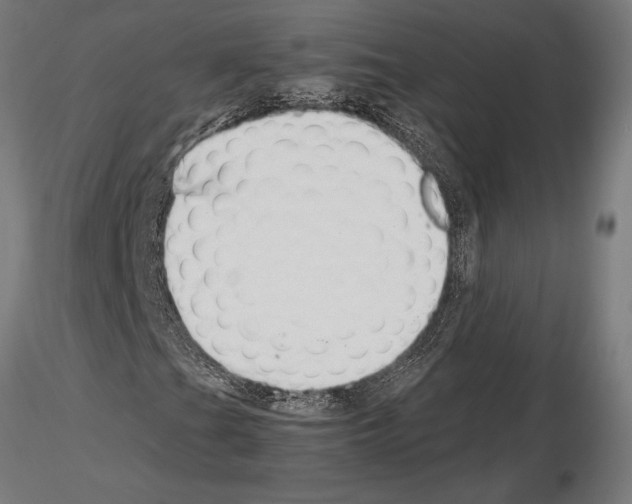 X0000115261201200912111132