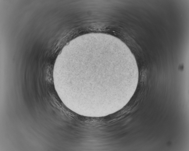 X0000115261202200912111132