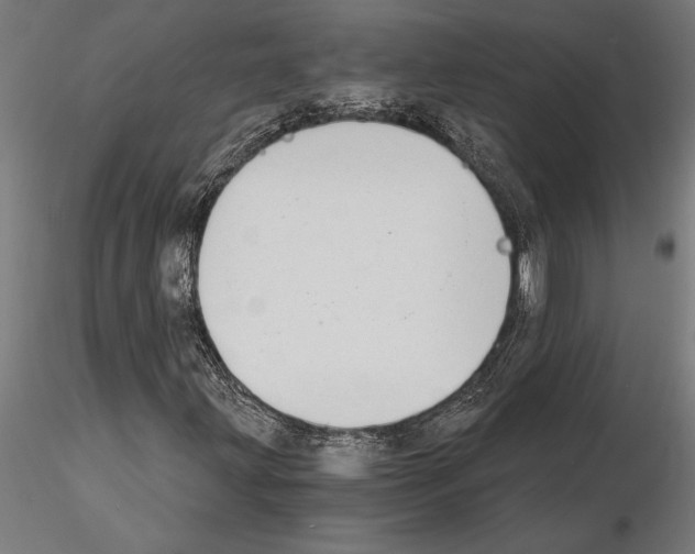 X0000115261203200912111132