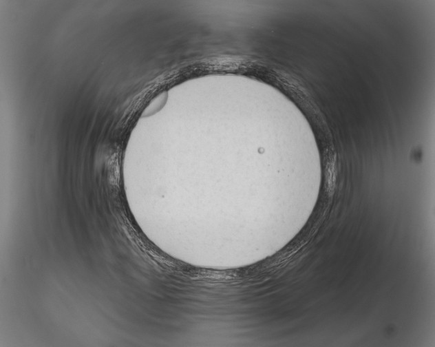 X0000115261204200912111132