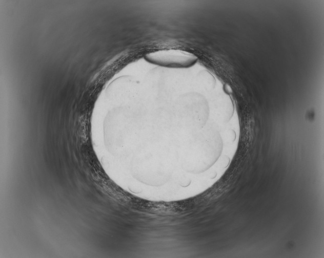 X0000115261205200912111132