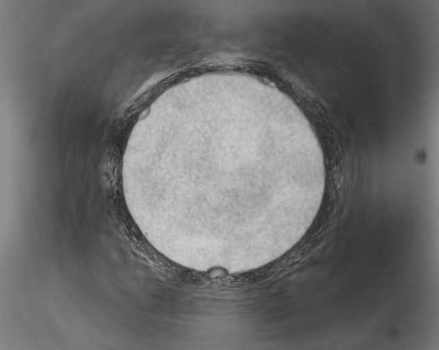 X0000115261206200912111132