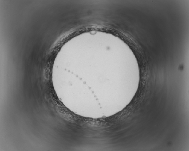 X0000115261207200912111132