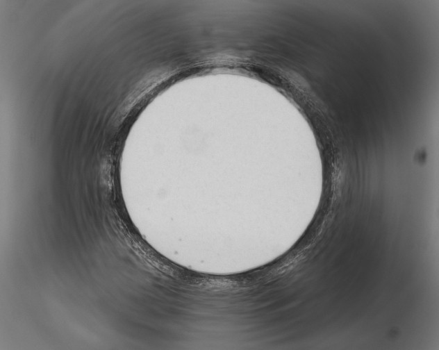 X0000115261209200912111132