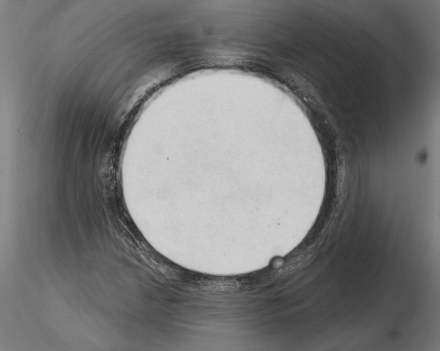 X0000115261210200912111132