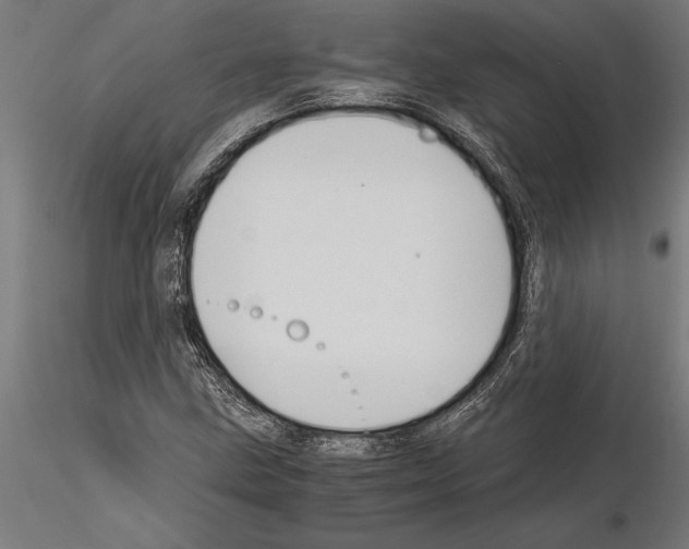 X0000115261211200912111132