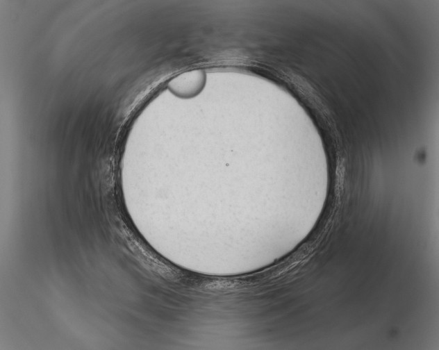 X0000115261212200912111132