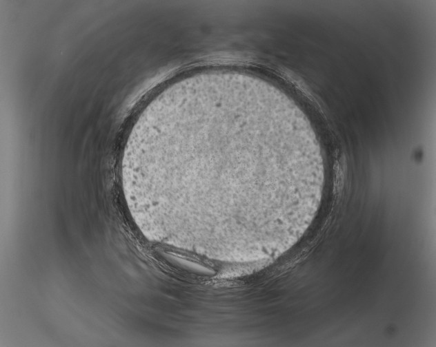 X0000115261213200912111132