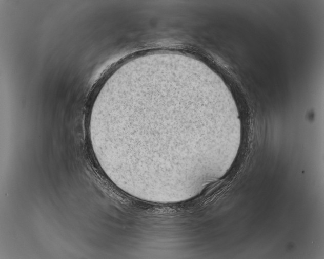 X0000115261214200912111132