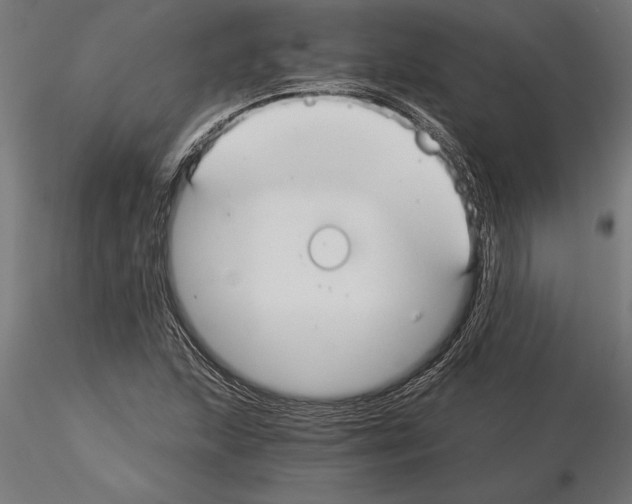 X0000115261215200912111132