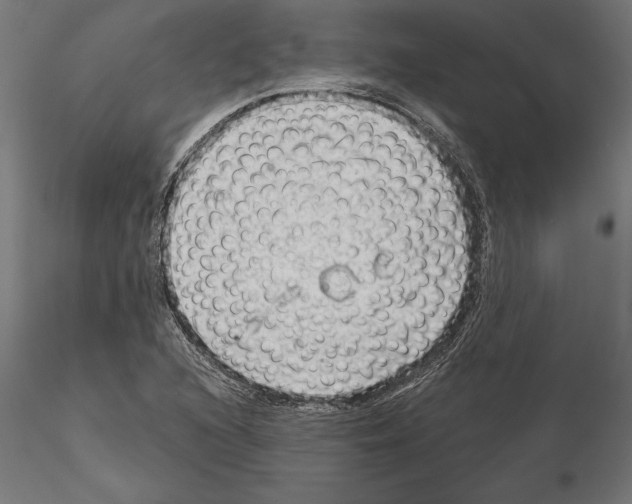 X0000115261216200912111132