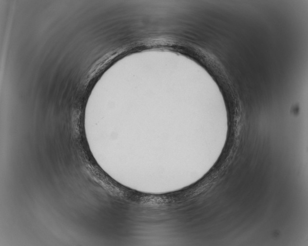 X0000115261217200912111132