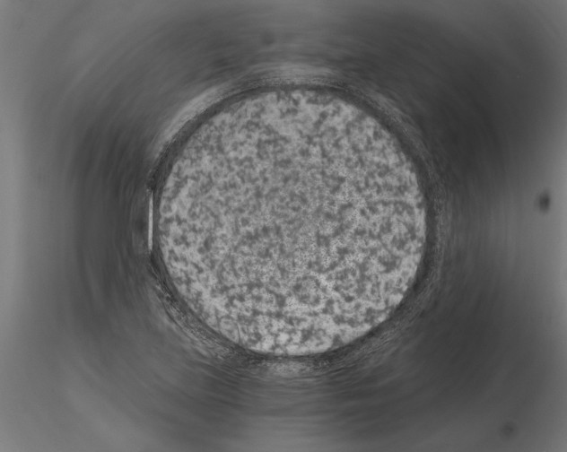 X0000115261219200912111132