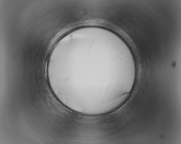 X0000115261224200912111132